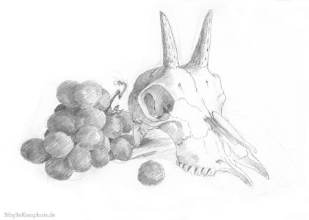 Zeichnung | Bleistift | Gemsenschädel mit Weintrauben | 1989