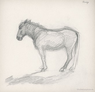 Zeichnung | Bleistift | Camarque-Pferd, Südfrankreich | 1996
