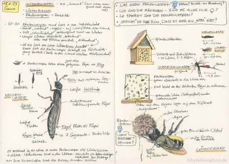 Zeichnung | Fine Liner und Polychromo | Wespen und Bienen am Insektenhotel | 18.06.2023
