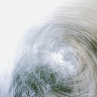 Foto | Pappeln und Weiden am Rhein | ICM – Intentional Camera Movement – mit bewegter der Kamera erzeugt | Köln | 25.7.2024
