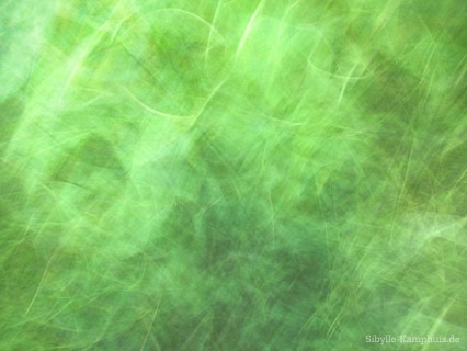 Foto | lebhaftes Grün | ICM – Intentional Camera Movement – mit bewegter der Kamera erzeugt | Köln | 2024