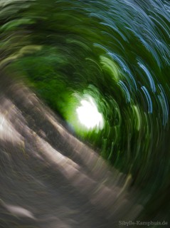 Foto | Haselwald | ICM – Intentional Camera Movement – mit bewegter der Kamera erzeugt | Köln