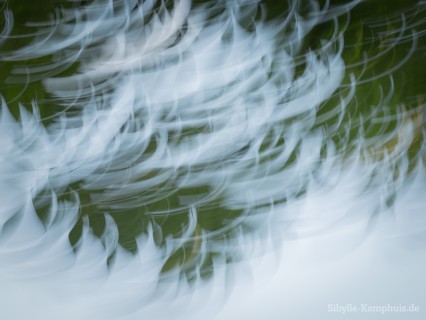 Foto | Laub am Baum | ICM – Intentional Camera Movement – mit bewegter der Kamera erzeugt | Köln | 8.8.2024