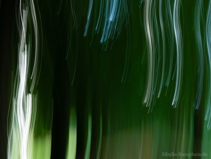 Foto | Lindenallee | ICM – Intentional Camera Movement – mit bewegter der Kamera erzeugt | Köln | 8.8.2024
