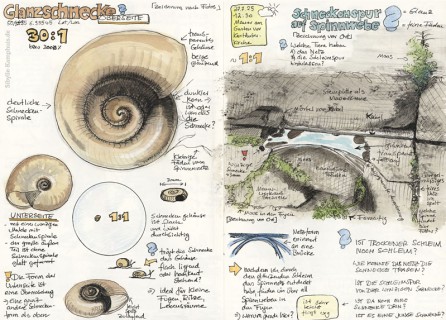 In Ritzen und Fugen lassen sich wunderbare Entdeckungen machen. Ein winziges Schneckenhaus liegt neben einem Spinnennetz auf einer Mauerfuge des Kartäuser Klosters